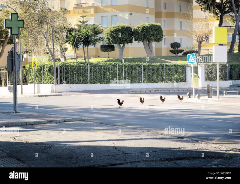 Chicken road - Descubre el Exclusivo Juego de Azar de Chicken Road en España Chicken road - Descubre el Exclusivo Juego de Azar de Chicken Road en España